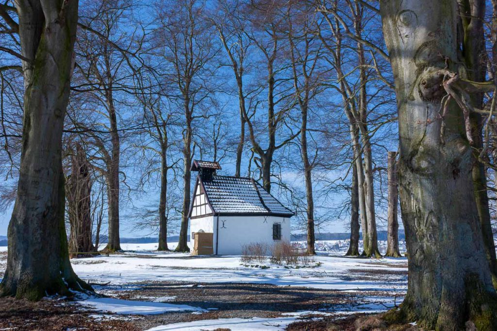 Die von alten Buchen umringte Schonlau-Kapelle auf einer Bergkuppe bei Bad Driburg-Dringenberg